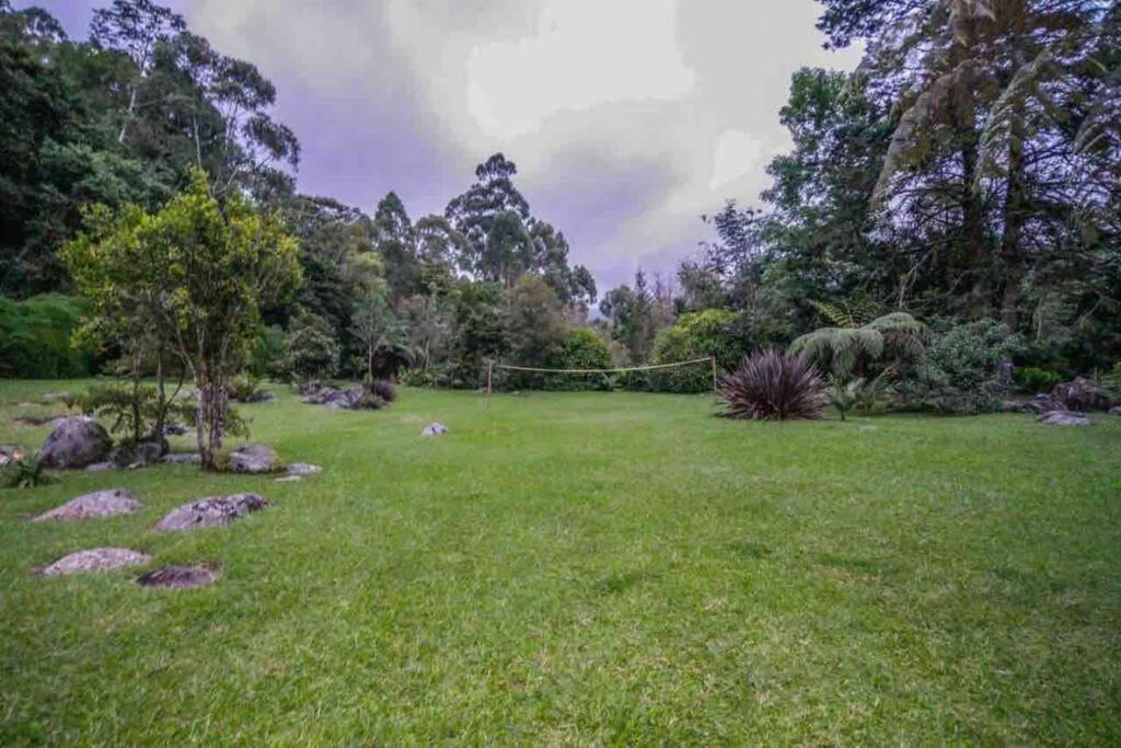 Finca Punta De Piedra Salento, Quindioヴィラ エクステリア 写真