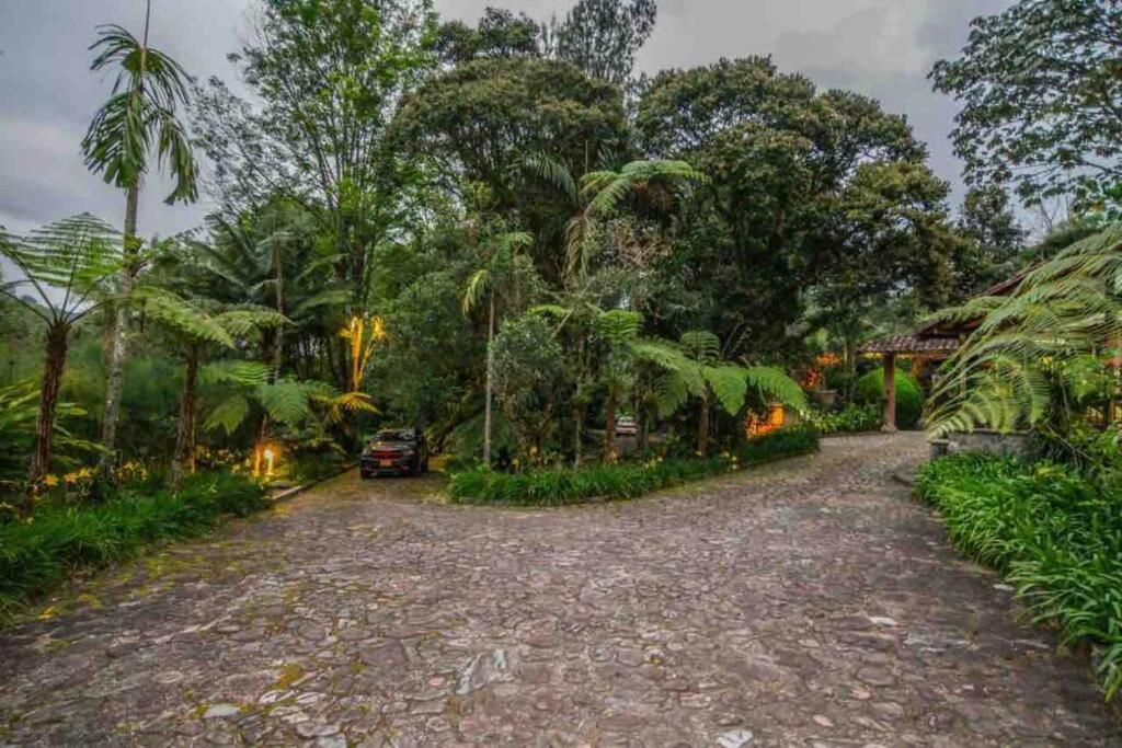 Finca Punta De Piedra Salento, Quindioヴィラ エクステリア 写真