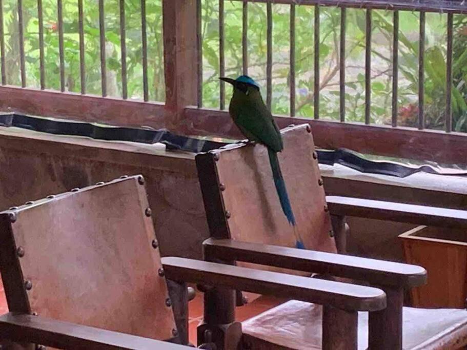 Finca Punta De Piedra Salento, Quindioヴィラ エクステリア 写真